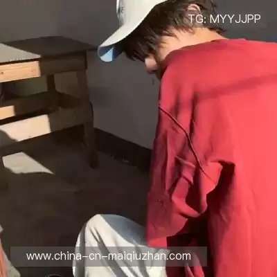 段迅煦